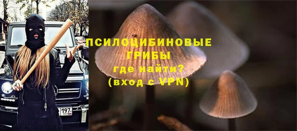 гашик Алексеевка