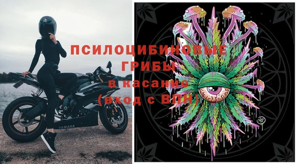мяу мяу мука Алзамай