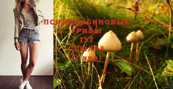 гашик Алексеевка
