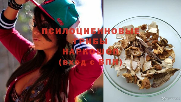 гашик Алексеевка