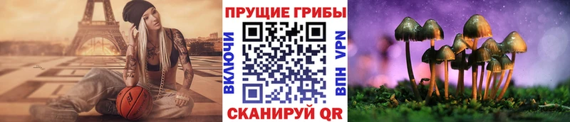 купить наркотики сайты  Аркадак  Псилоцибиновые грибы Psilocybine cubensis 